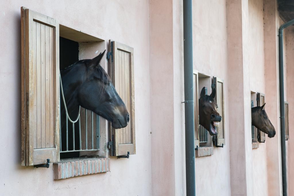 San Giacomo Horses&Agriturismo Arluno Exterior foto